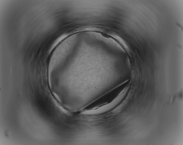 X0000095130910200801041243