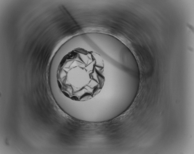 X0000095130912200801041243