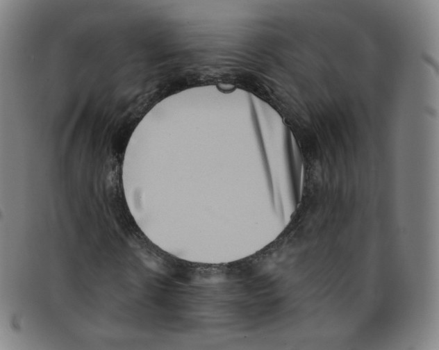 X0000095130914200801041243