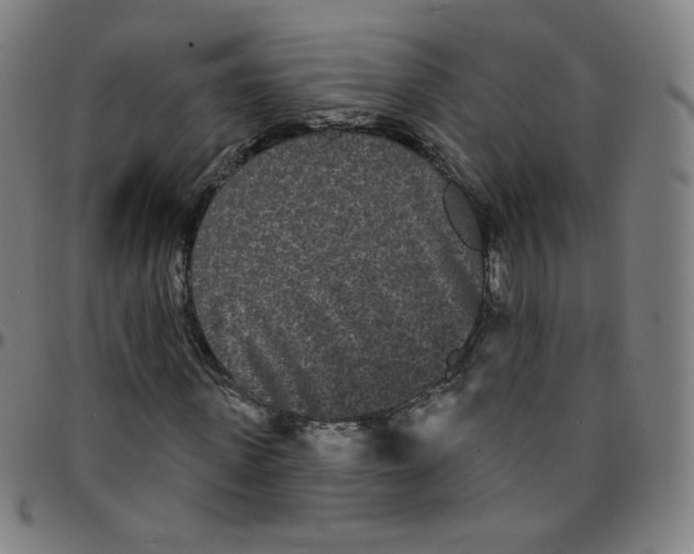 X0000095130915200801041243