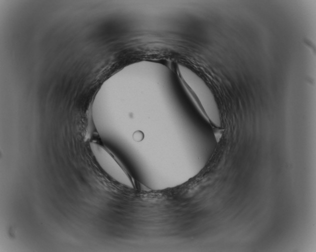 X0000095130916200801041243