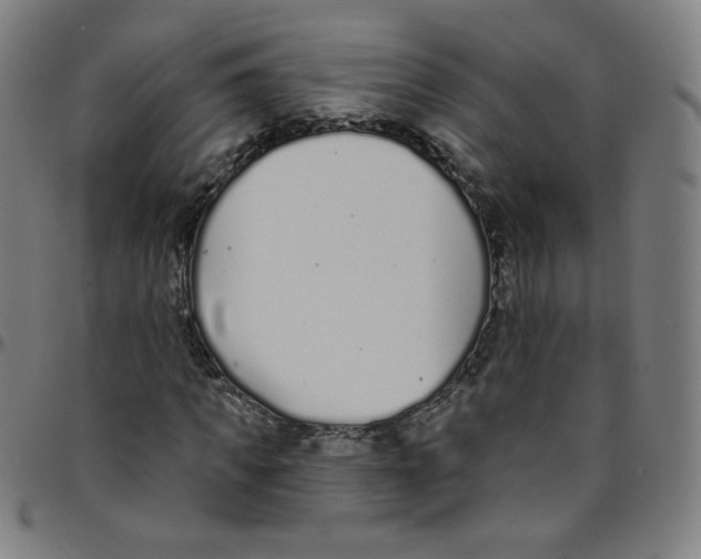 X0000095130917200801041243