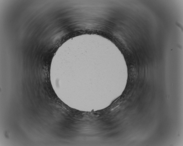 X0000095130918200801041243