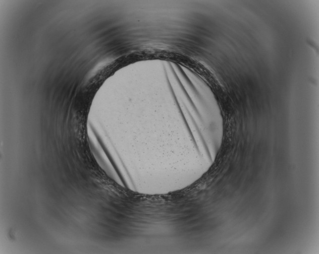 X0000095130919200801041243