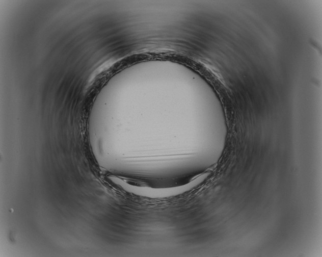 X0000095130920200801041243