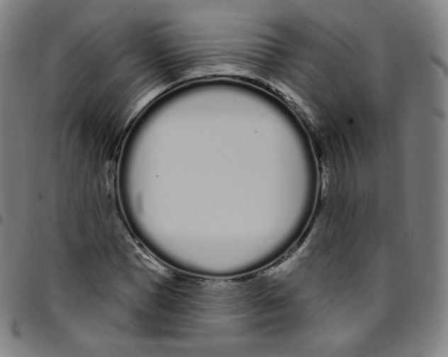 X0000095130921200801041243