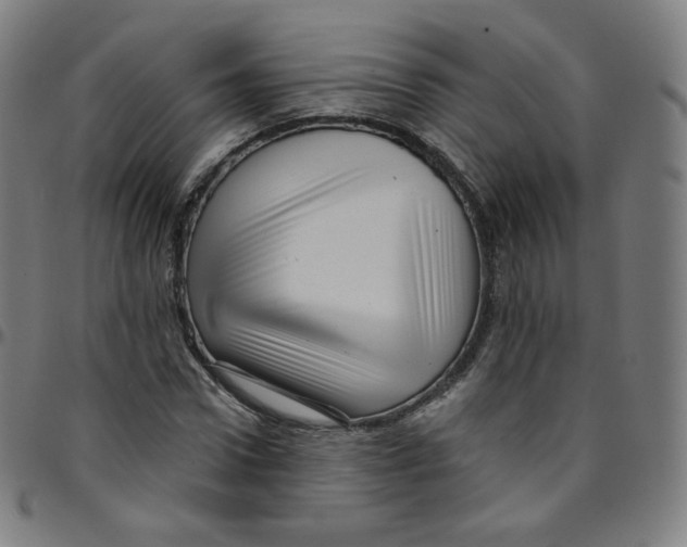 X0000095130922200801041243