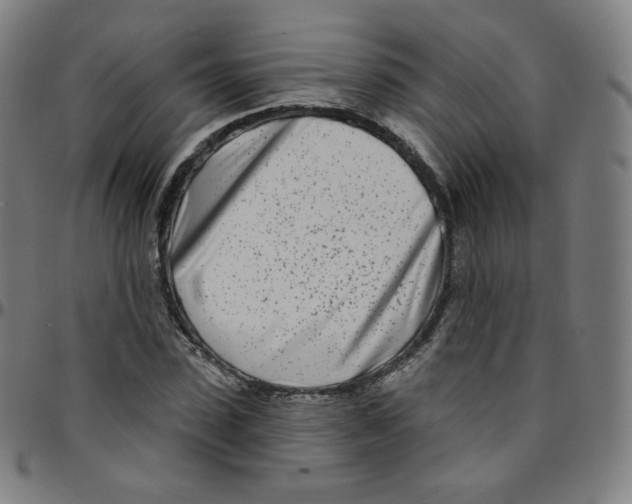 X0000095130923200801041243