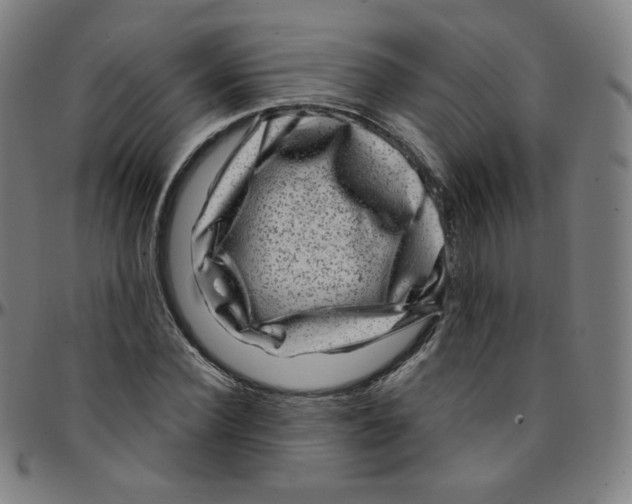 X0000095130924200801041243