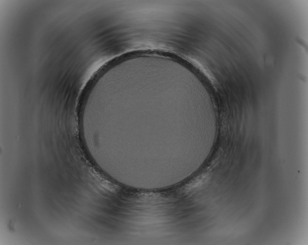 X0000095130927200801041243