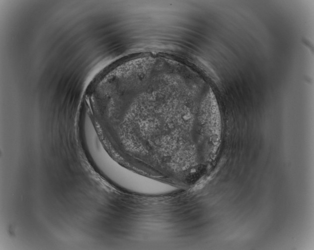 X0000095130928200801041243