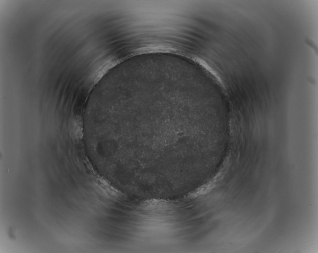 X0000095130929200801041243