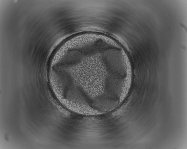 X0000095130931200801041243