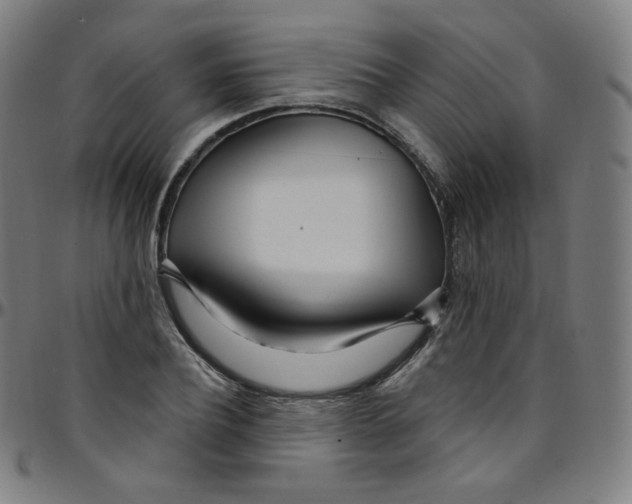 X0000095130932200801041243