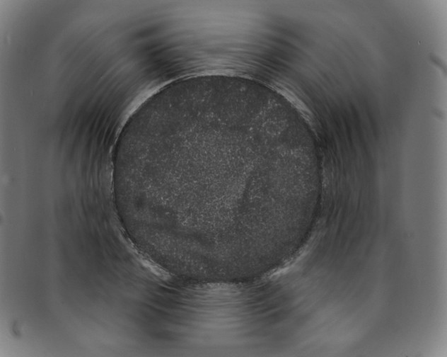 X0000095130933200801041243