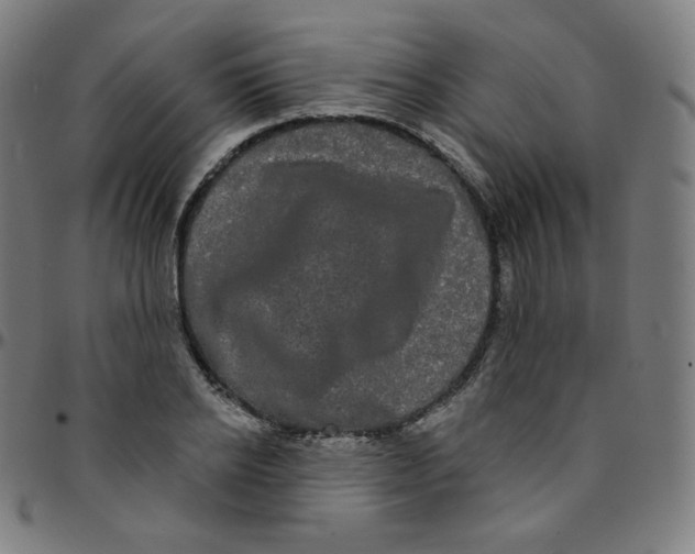 X0000095130934200801041243