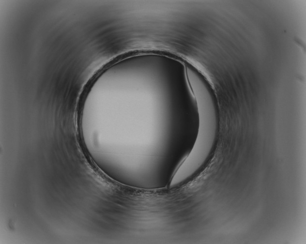 X0000095130935200801041243