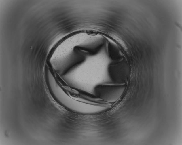 X0000095130936200801041243