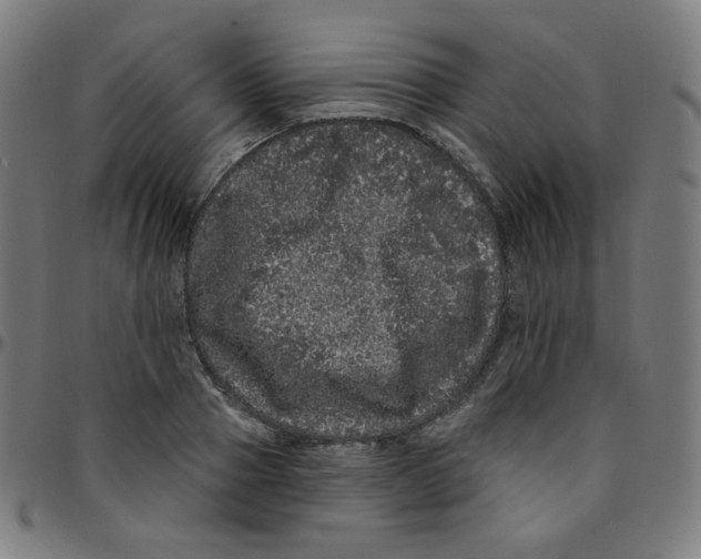 X0000095130937200801041243