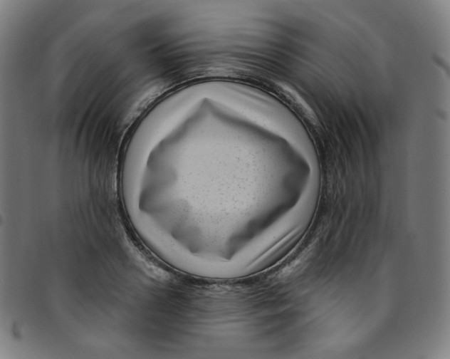 X0000095130938200801041243