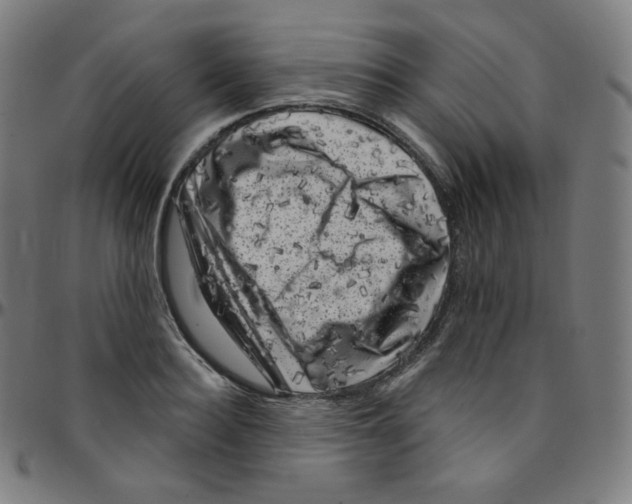 X0000095130940200801041243