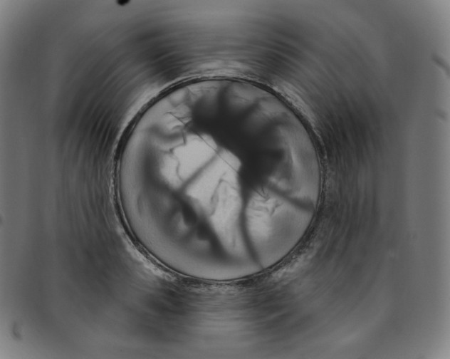 X0000095130941200801041243