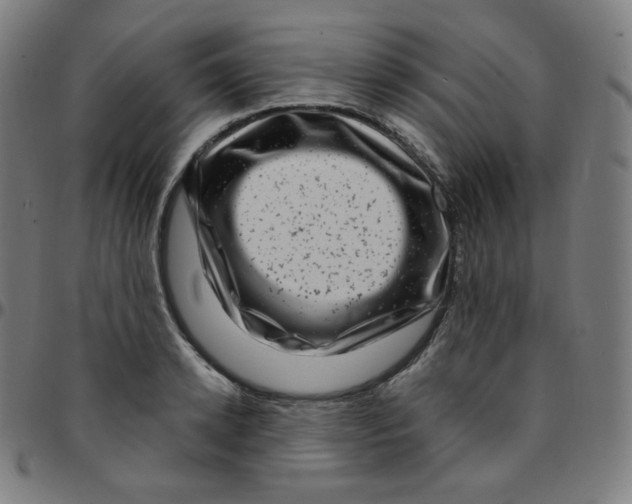 X0000095130942200801041243