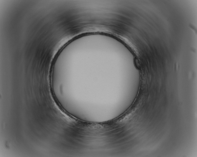 X0000095130943200801041243