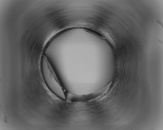 X0000095130944200801041243