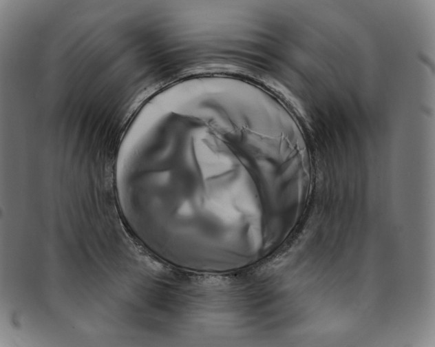 X0000095130945200801041243