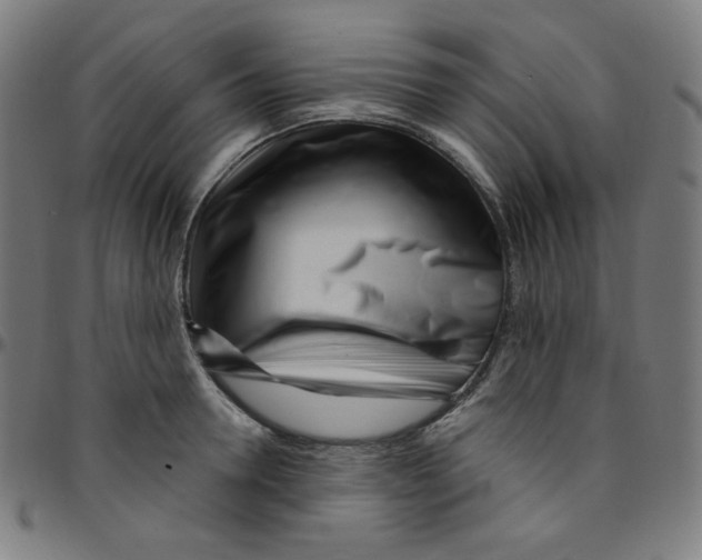 X0000095130946200801041243