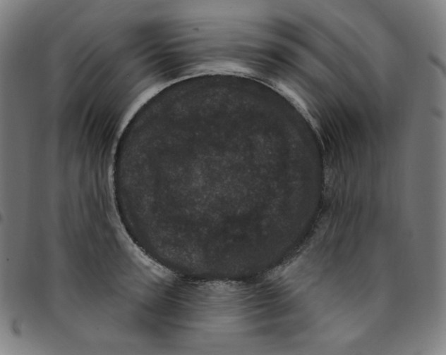 X0000095130947200801041243