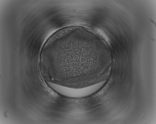 X0000095130948200801041243