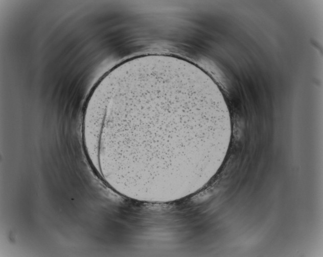 X0000095130950200801041243