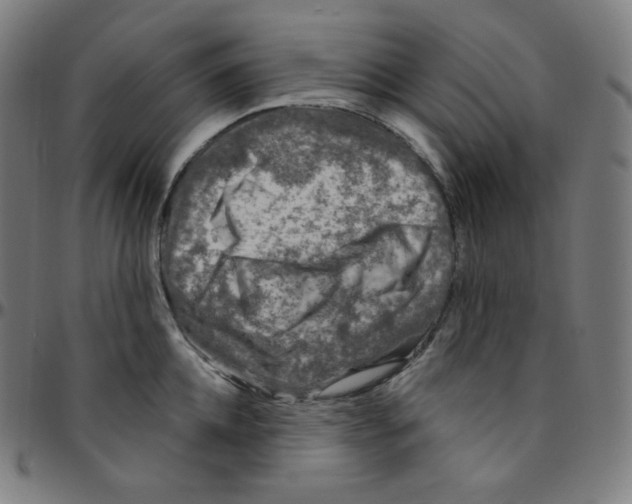 X0000095130952200801041243