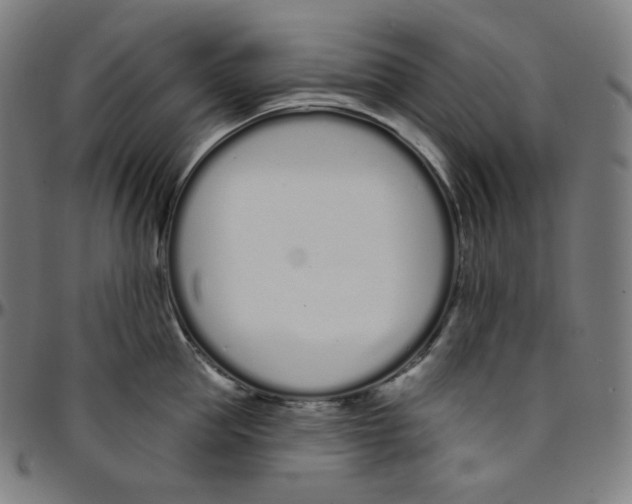 X0000095130953200801041243