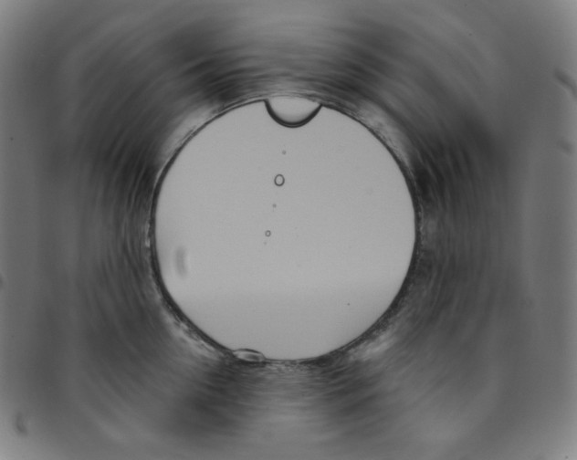 X0000095130954200801041243