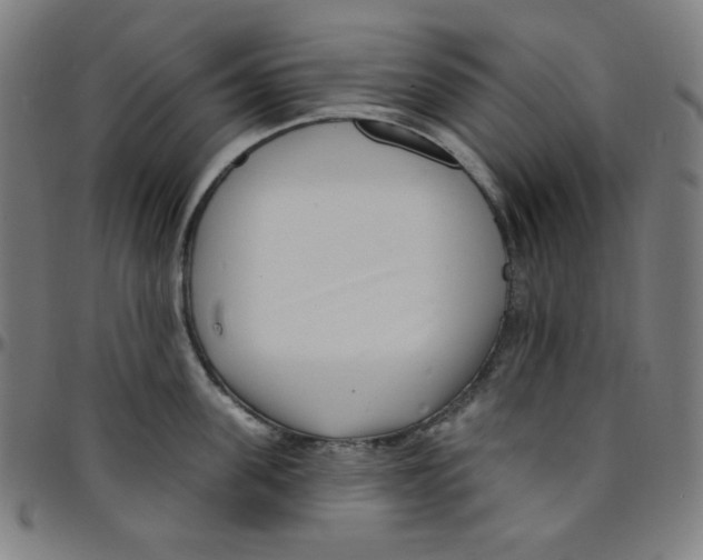 X0000095130955200801041243