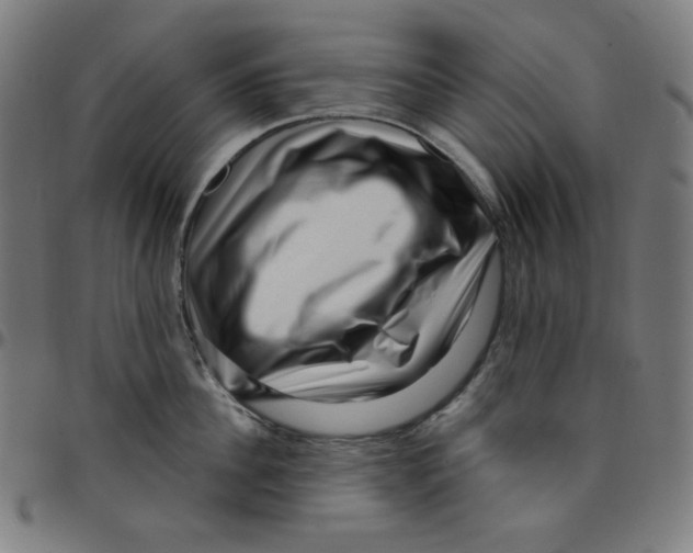 X0000095130956200801041243