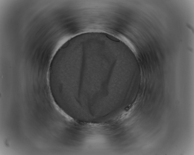 X0000095130958200801041243