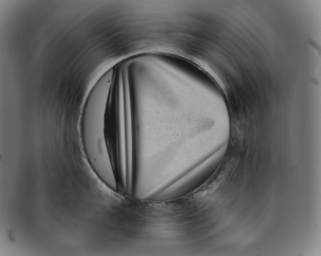 X0000095130959200801041243