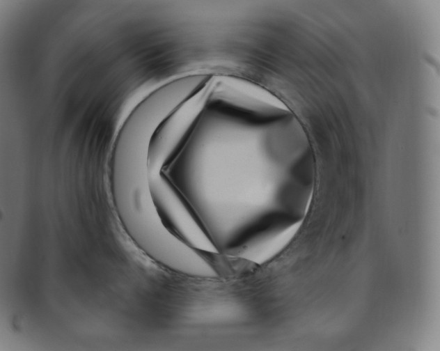 X0000095130960200801041243