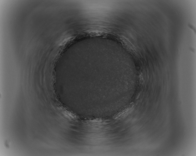 X0000095130961200801041243