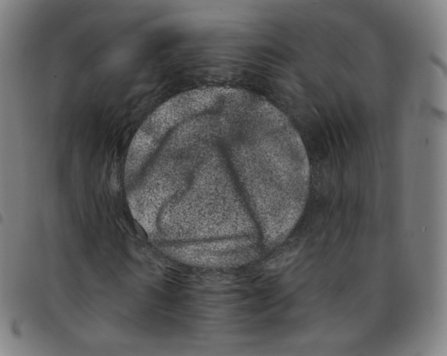 X0000095130962200801041243