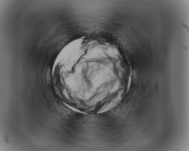 X0000095130963200801041243