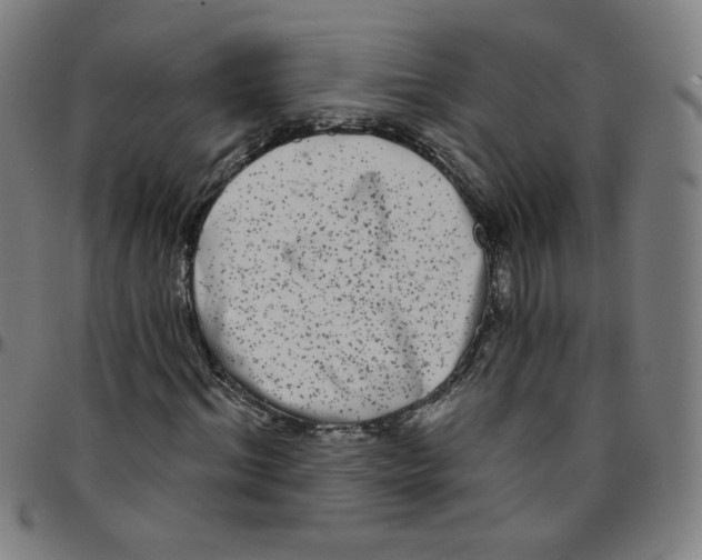 X0000095130964200801041243