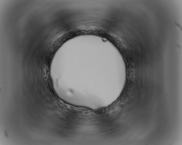 X0000095130966200801041242