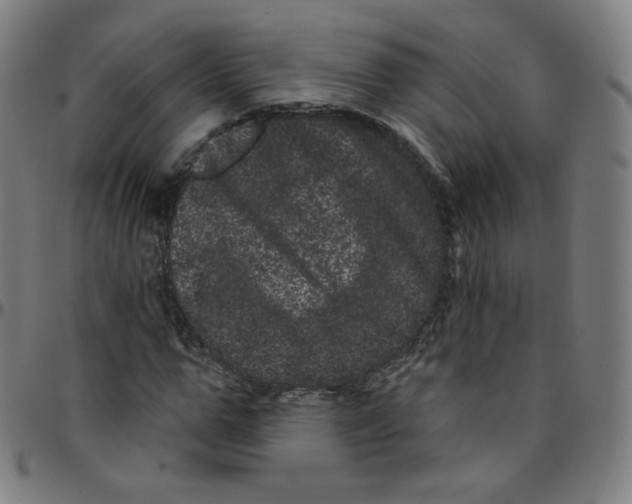 X0000095130967200801041242