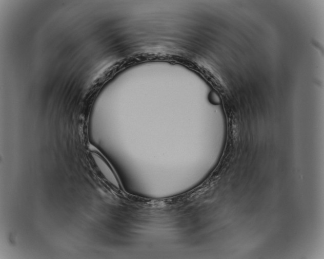 X0000095130968200801041242