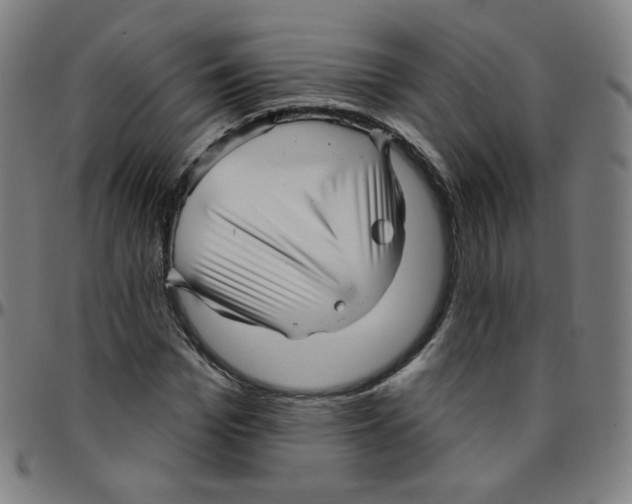 X0000095130969200801041242